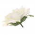 Artificial Rose Heads Simulation Rose Flower Photography Props Backdrop Decor   323397524596